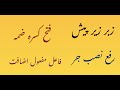 Rafa Nasab Jar Zabar Zer Paish Fatha Kasra Dhamma In Urdu Hindi