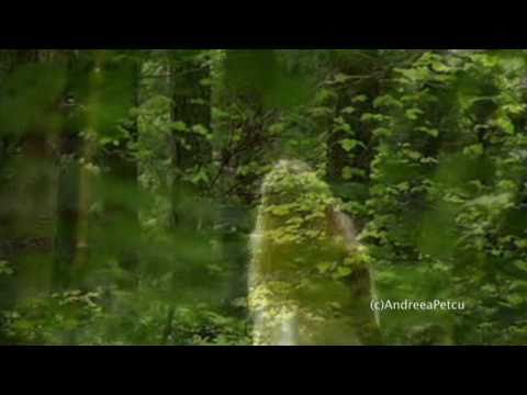 Verde - Lelia Mossora - recita Liviu Nechita