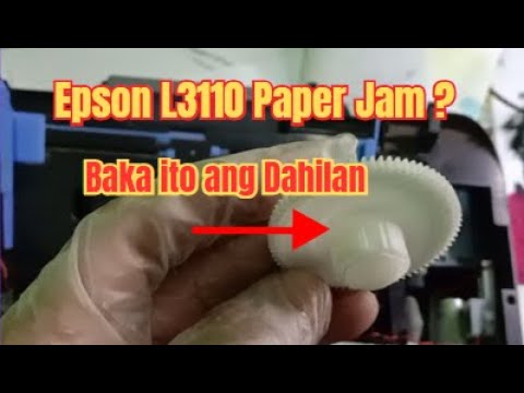DIY Fix Epson Printer Paper Feed Problem Clutch Gear Problem