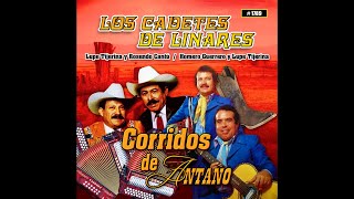 Si Quieres Tu Volver - Los Cadetes de Linares