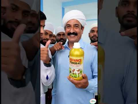 Advance Power H Gold