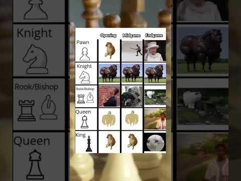 Chess be like #chess #pawn #queen #king #knight #bishop #rook #move #fyp #foryou #viralvideo #memes