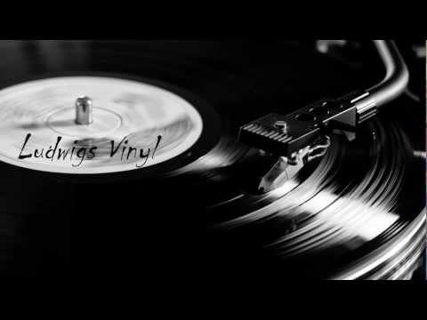 Thugfucker - Disco Gnome (tale of us remix)