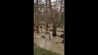 preview picture of video 'Wimberley Texas water in the Cypress Creek after May showers'