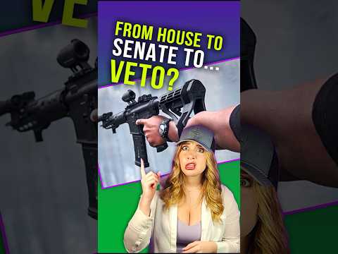 BRACE RULE: on to Senate or steps away from Veto? #shortsvideo #shorts Thumbnail