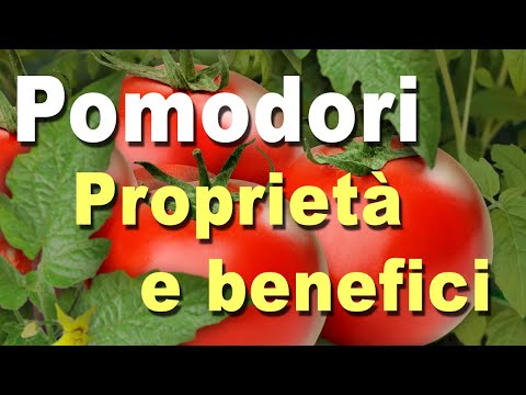 , title : 'Pomodoro: benefici per la salute | Proprietà, usi e controindicazioni'