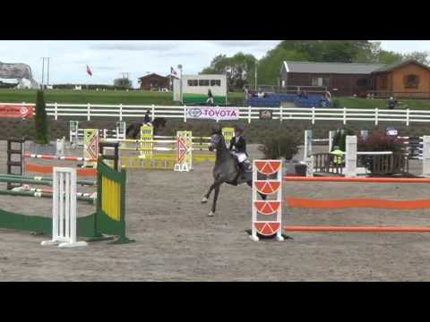 Dento 1.30 BET Showjumping Qualifier - Mullingar CSI**