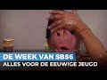 Heeft Patty nu rauw vlees op haar gezicht? | De Week van SBS6