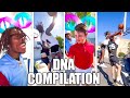 THE BEST OF DNA