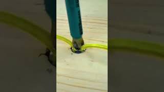 Download lagu cara mengatasi baut yang tidak bisa dibuka(dol/los),tips gunakan karet gelang. mp3