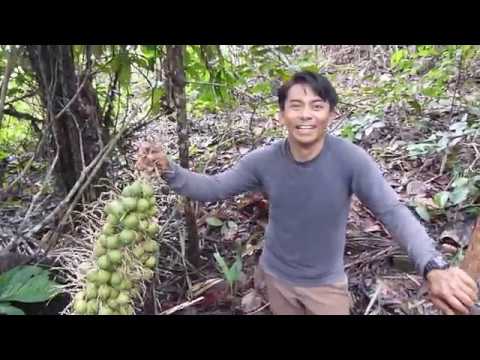 https://www.youtube.com/watch?v=Pi9gX9JUlMo