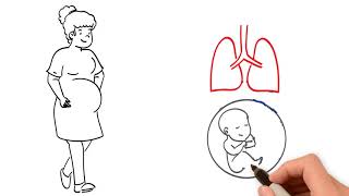 Pregnancy and the Respiratory System