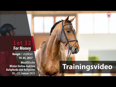 Winter Online-Auktion Training Lot 32 For Money Hengst v. For Pleasure - Baloubet du Rouet