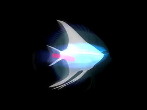 koronba - A Fish's Night of Nocturnal Dreaming