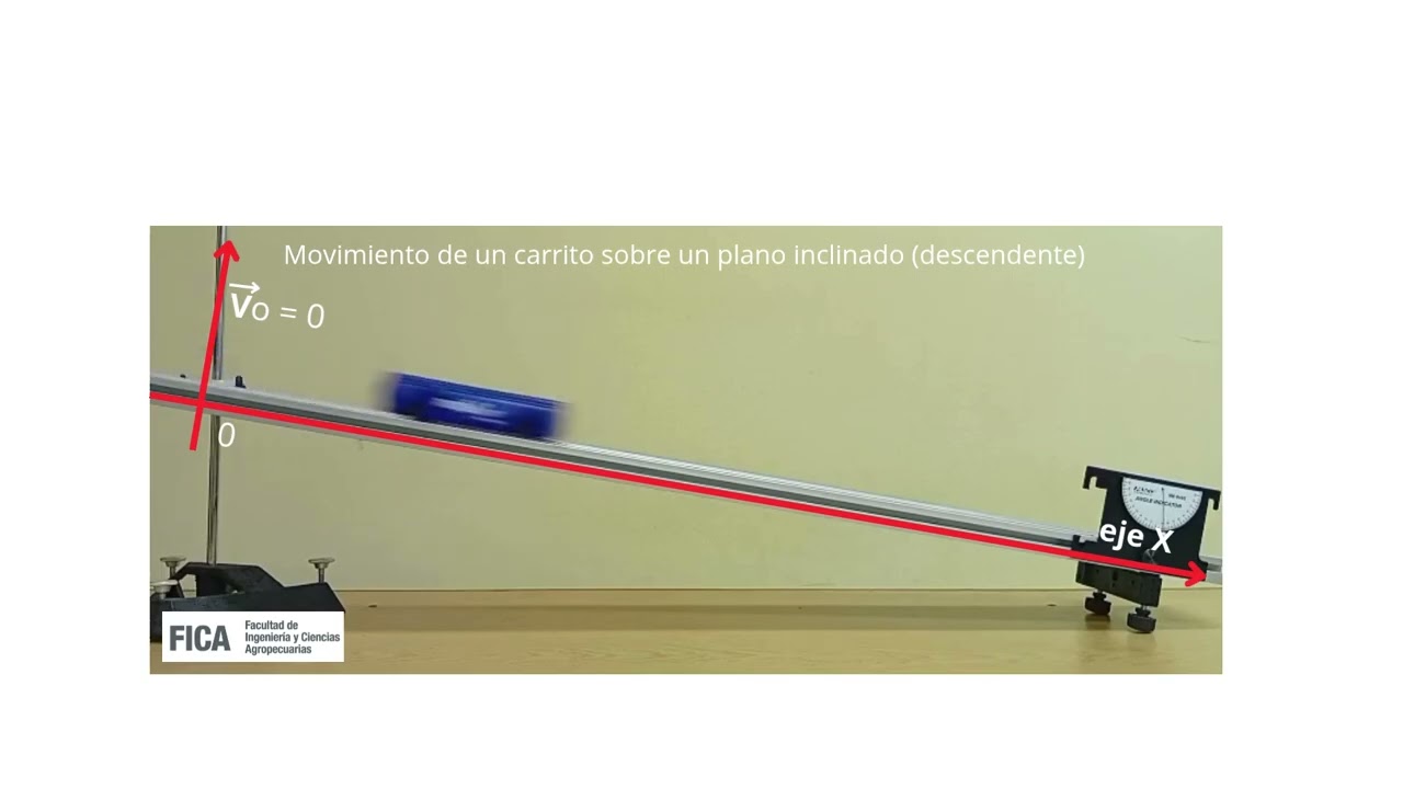 Ver video