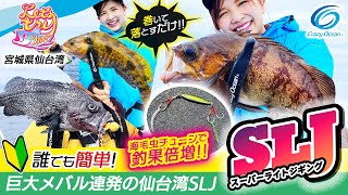 【SLJ】 スーパーライトジギング この釣り方なら誰でも簡単に巨大メバルをゲット！大型根魚が簡単に釣れる方法とは