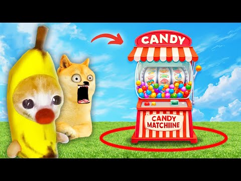 Banana Cat & Doge Vs. The Magical Candy Machine 🍬🐶🐱 Banana Cat Compilation | Happy Cat Crying MEME 😿