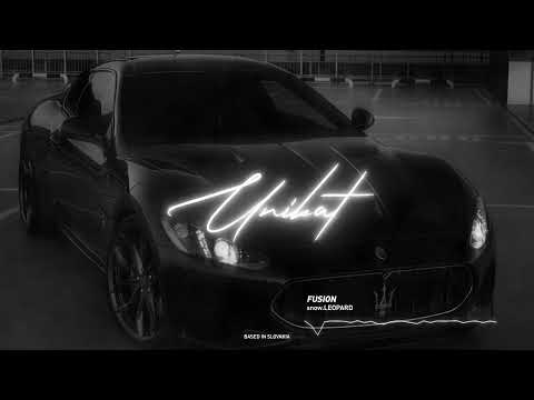 snow.LEØPARD - Fusion