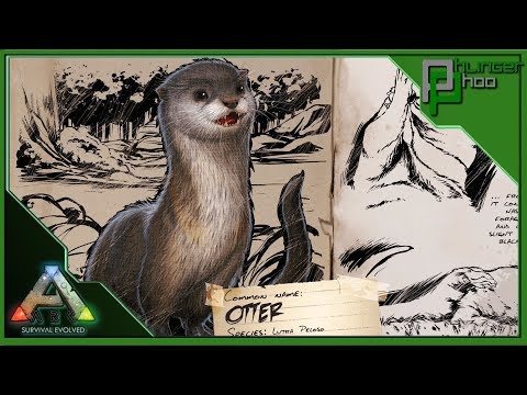 Ark Basics Otter - CUTEST LITTLE DUDE IN ARK - EVERYTHING YOU NEED TO KNOW