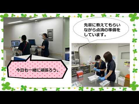 Steatoda bipunctata、メス