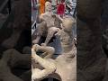 The bodies of Pompeii #vesuvio #pompeii #travelblog #italia #italie #italytravel