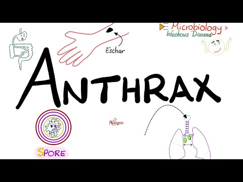 Anthrax - Causes, Symptoms, Diagnosis, Treatment - Bacillus anthracis - Microbiology 🧫