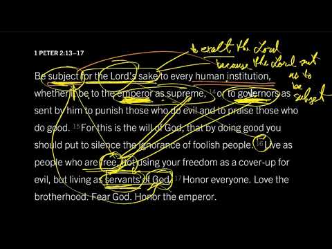 Obey as People Who Are Free: 1 Peter 2:13–17, Part 2