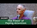 The Power of Paying Attention (Excerpt)
