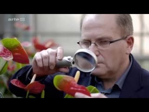 Xenius Vitamines : quel est le bon dosage ?