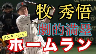 [討論] 台灣拿冠軍，會讓你想進場看中職嗎？