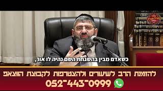 הרב אייל עמרמי - כשאדם מבין שזה הכל הנהגה של השם אין לו שום קושי (הרב אייל עמרמי) - התמונה מוצגת ישירות מתוך אתר האינטרנט יוטיוב. זכויות היוצרים בתמונה שייכות ליוצרה. קישור קרדיט למקור התוכן נמצא בתוך דף הסרטון