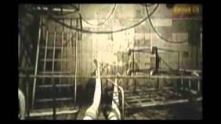 dZihan and Kamien' DONT EXPLAIN