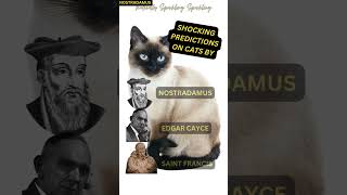 SHOCKING: WHAT NOSTRADAMUS, EDGAR CAYCE &amp; SAINT FRANCIS PREDICTED FOR THOSE WHO HAVE A CAT AT HOME