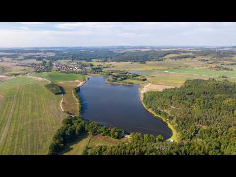 Náhled pro video reference