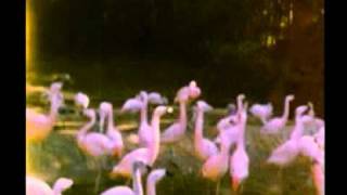 Fresh & Onlys - Garbage Collector