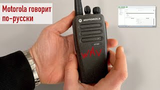 ����� Motorola GMVN6241