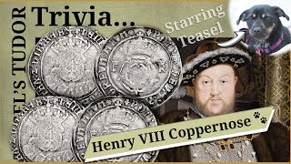 Teasel&#39;s Tudor Trivia - Henry VIII Coppernose