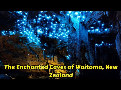 As Cavernas Encantadas de Waitomo, Nova Zelândia