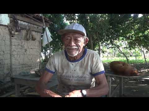 Vicente conta sobre índio morcego.