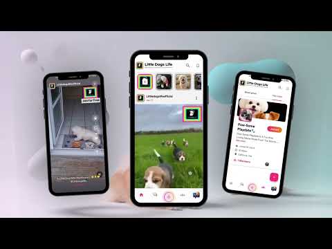 LittleDogsLife video thumbnail