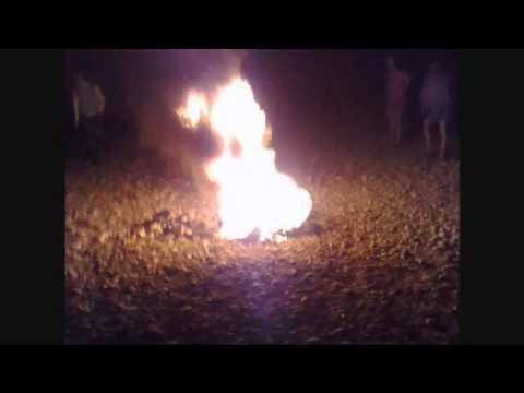 Nebunii din finta [part2]