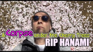 I Found a Corpse Under a Cherry Tree