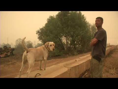 Residents of Paradise, California, forced to evacuate due to a wildfire are learning that many homes and businesses were destroyed. Firefighters say flames moved so fast there was nothing they could do. (Nov. 9)