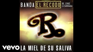 Banda El Recodo De Cruz Lizárraga - La Miel De Su Saliva (Audio)