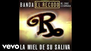 Banda El Recodo De Cruz Lizárraga - La Miel De Su Saliva (Audio)