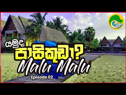 #Episode02 Maalu Maalu Resort & Spa Passikuda | Hotel review #Chat #Srilanka #Pasikuda #MaaluMaalu
