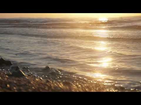 Thrilling India - August Wilhelmsson | Beach Ambience to Relieve Stress and Provide Serene Sleep