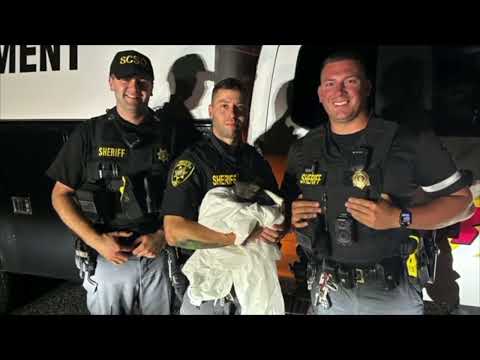 Suffolk County Kitten Rescued