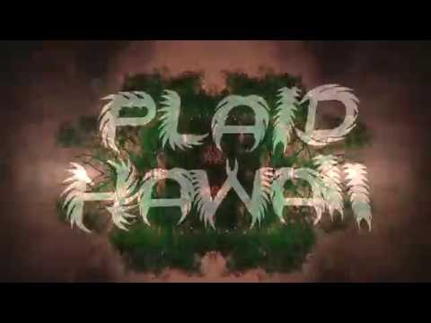 Plaid Hawaii - Time Feels