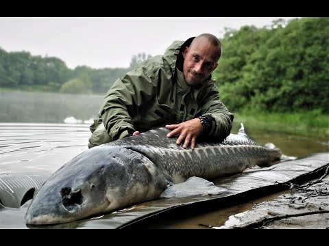 Stør tur til Lystfiskergården i Roust (big fish alert!!!)